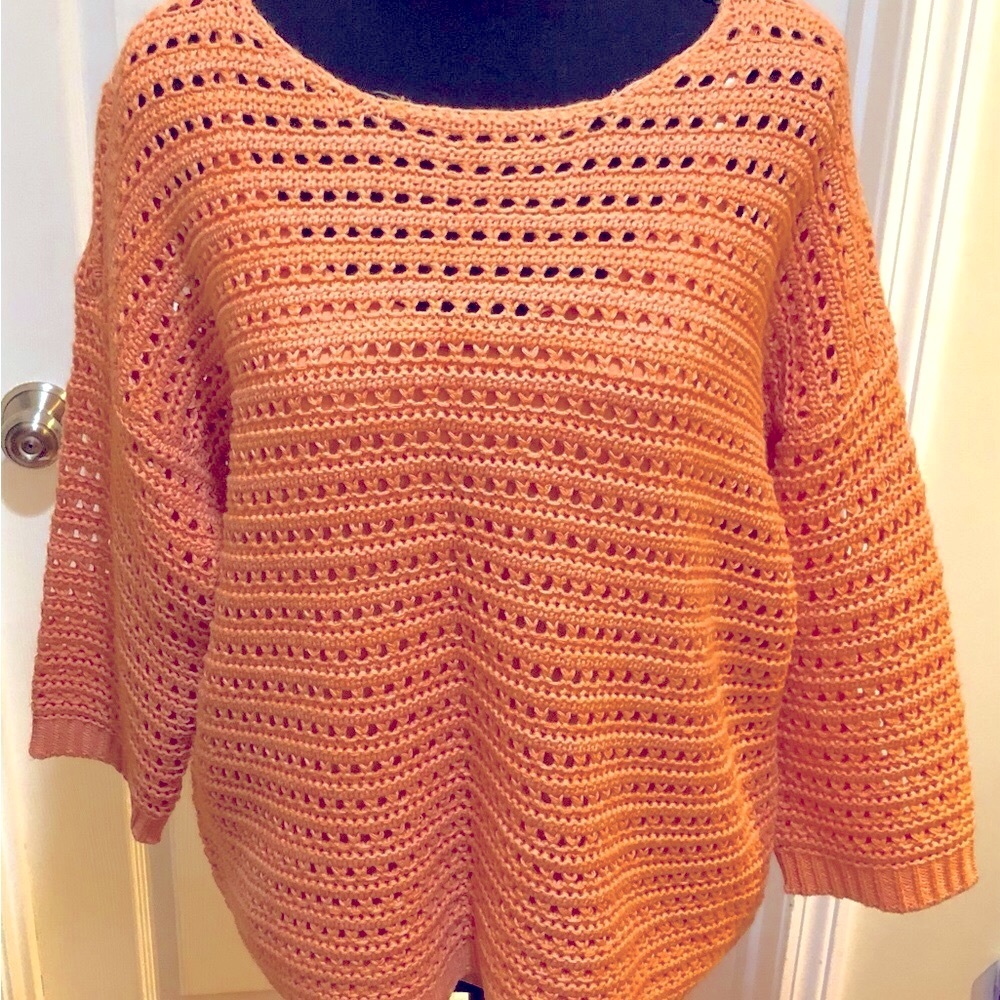 CC Coral Sweater & Camisole Size PL